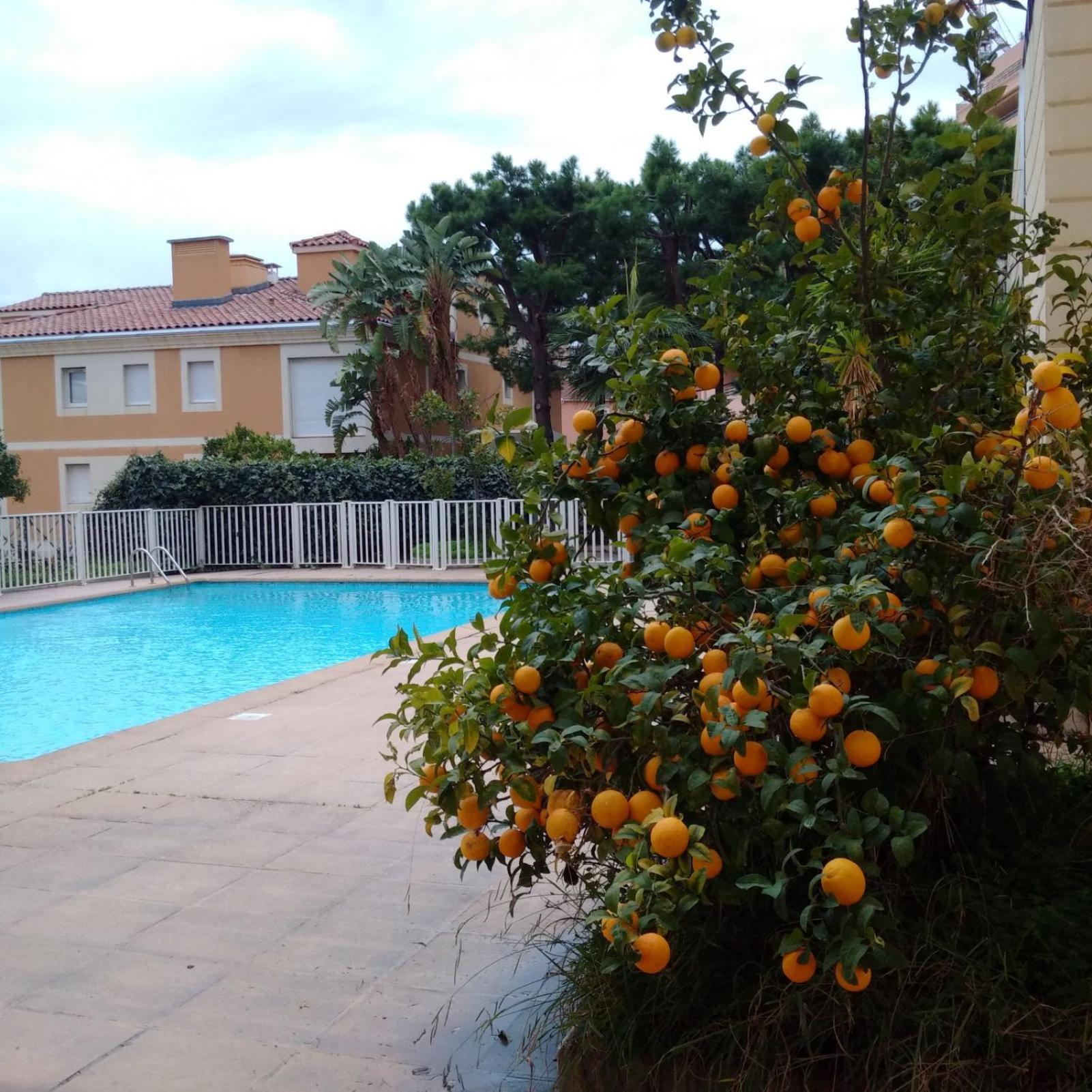 Direct Monaco Studio Devant Piscine Босолей Екстер'єр фото